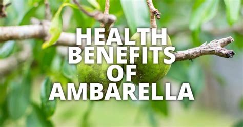 15 Potential Health Benefits Of Ambarella Fruit.